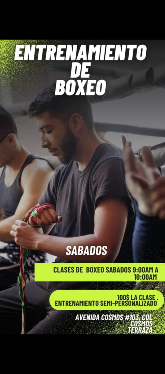 Técnicas de boxeo avanzadas